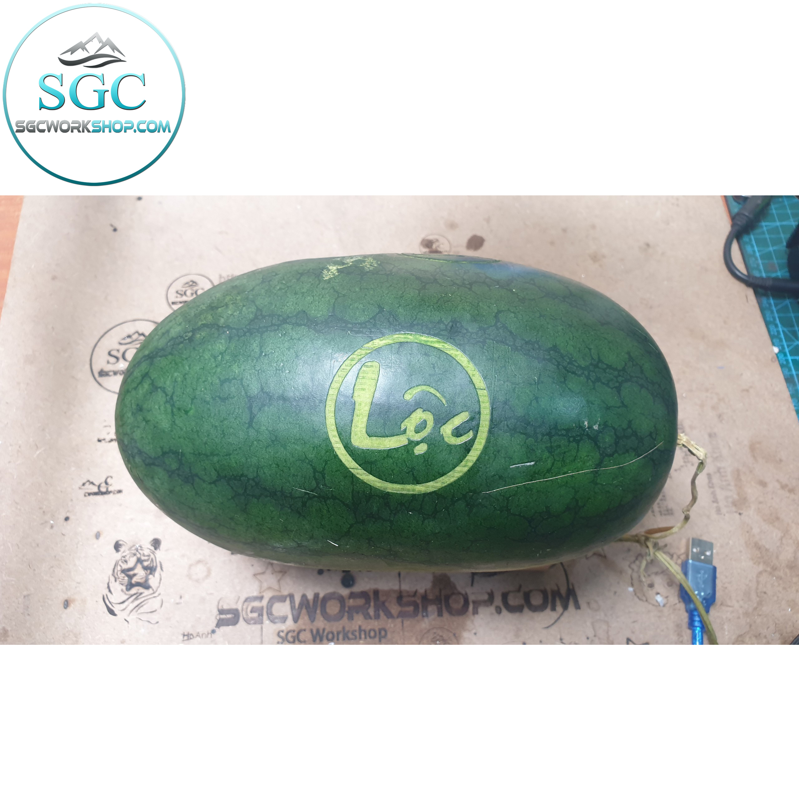 AK Laser 3040 Pro 15W | Khắc Dưa Hấu & Gỗ, Da | Máy Laser Mini Nhỏ Gọn, Chuẩn Kinh Doanh - Ảnh 5