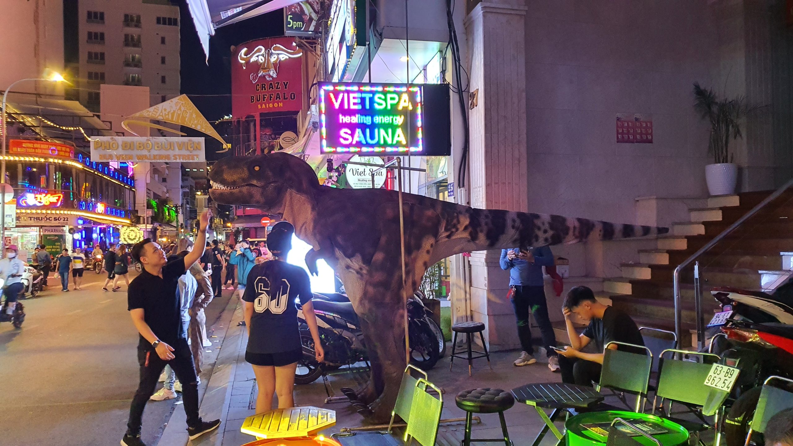Trang phục Biểu diễn - Khủng long Bạo chúa - Ảnh 4